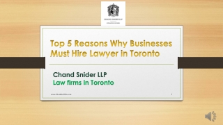 Top 5 Reasons Why Businesses Must Hire Lawyer in Toronto