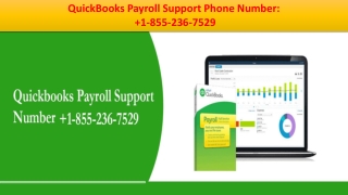 Get some more helpful facts about QB Payroll at QuickBooks Payroll Support Phone Number 1-855-236-7529
