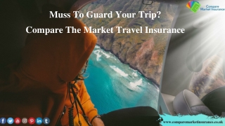 Muss To Guard Your Trip? Compare The Market Travel Insurance