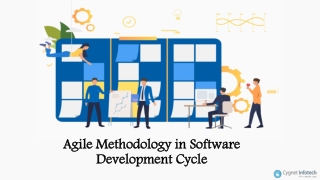 Agile Methodology in Software Development Cycle