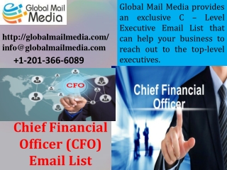 Chief Financial Officer (CFO) Email List