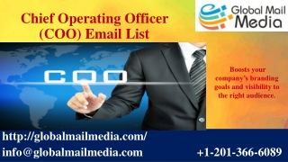 Chief Operating Officer (COO) Email List