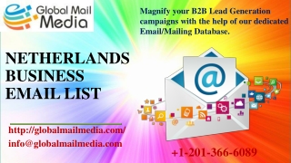 Netherlands Business Email List