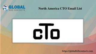 North America CTO Email List