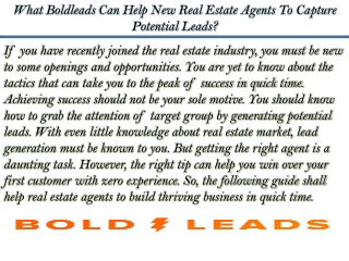 What Boldleads Can Help New Real Estate Agents To Capture Potential Leads?
