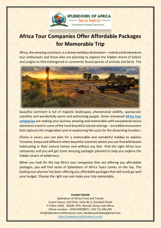 Africa Tour Companies Offer Affordable Packages for Memorable Trip