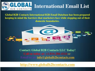 International Email & Mailing List