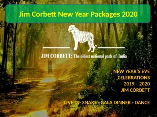 New Year Packages 2020 in Jim Corbett | New Year Celebrations in Jim Corbett