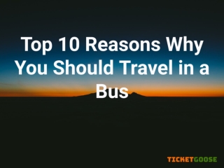 Top 10 Reasons Why You Should Travel in a Bus