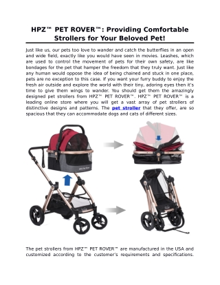 HPZ™ PET ROVER™: Providing Comfortable Strollers for Your Beloved Pet!