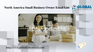North America Small Business Owner Email List