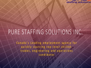 Pure Staffing Solutions | Leading Employment Agency in Canada