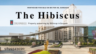 The Hibiscus Gurgaon