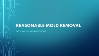 Professional Mold Removal Services Charlotte NC