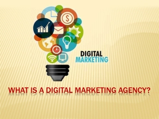 What is the best digital marketing agency?