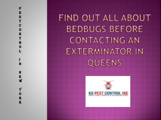 Find Out All About Bedbugs Before Contacting An Exterminator in Queens