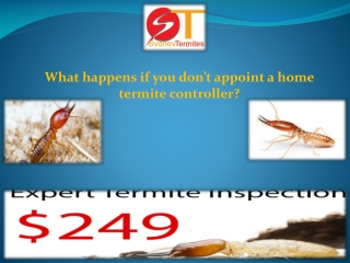 What happens if you don’t appoint a home termite controller?