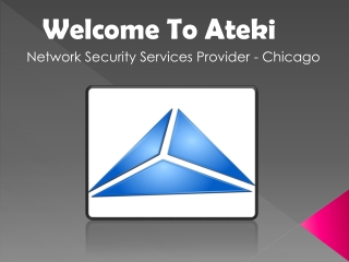 Network Security Services Provider - Chicago