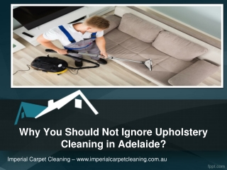 Why You Should Not Ignore Upholstery Cleaning in Adelaide?