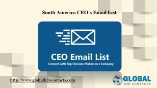 South America CEO's Email List