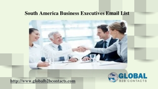 South America Business Executives Email List