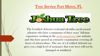 Tree Service Fort Myers, FL