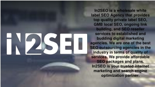 White Label SEO Company - In2SEO