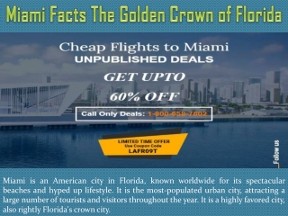 Miami Facts The Golden Crown of Florida