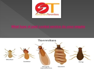 What type of pest control service do your require