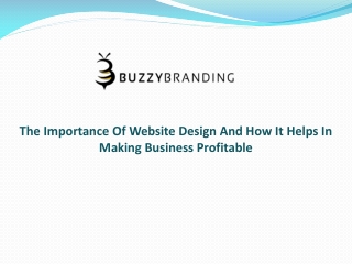 The Importance Of Website Design And How It Helps In Making Business Profitable