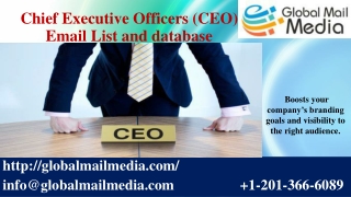 Chief Executive Officers (CEO) Email List and database
