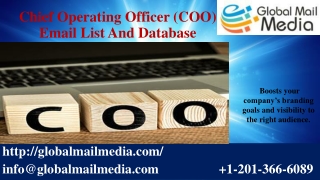 Chief Operating Officer (COO) Email List And Database