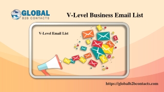 V Level Business Email List