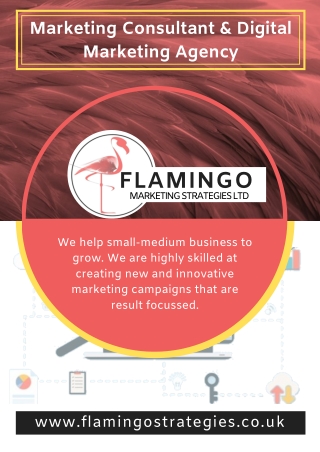 Flamingo: Digital Marketing Agency | We Grow Brands
