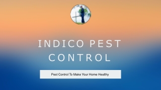 Affordable Pest Control in Uttam Nagar