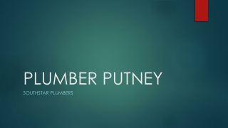 Plumber Putney