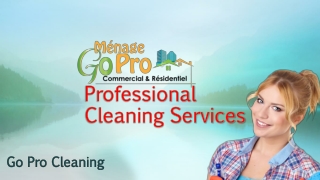 Professional Cleaning Services