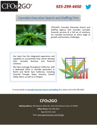 Cannabis Executive Search and Staffing Firm