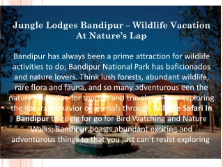 Jungle Lodges Bandipur – Wildlife Vacation At Nature’s Lap