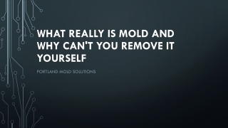 Mold Removal Service Vancouver WA