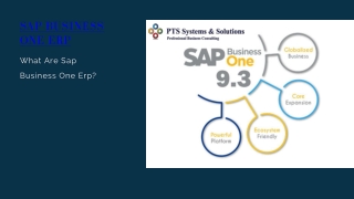 What Are Sap Business One Erp?