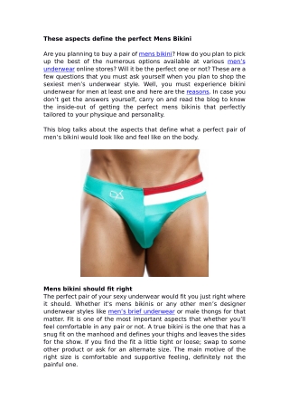 These aspects define the perfect Mens Bikini