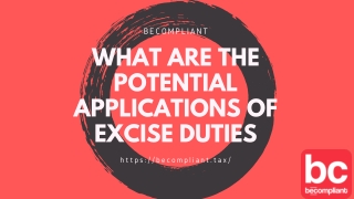 What are The Potential Applications of Excise Duties