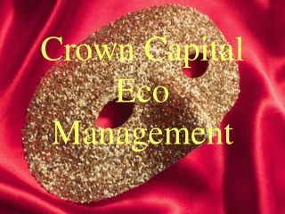 Crown Capital Eco Management - The Company