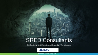 Expert in CRA Tax Assessments - SAU Consulting