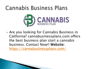 cannabis business pro forma