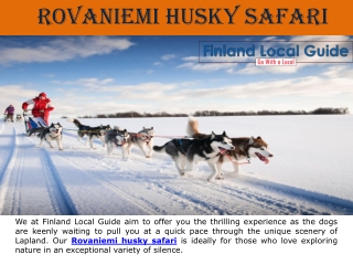 Rovaniemi Husky Safari