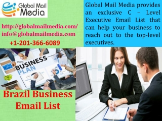 Brazil Business Email List