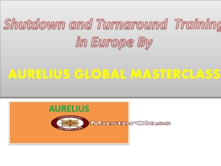 Shutdown and Turnaround Training In Europe.