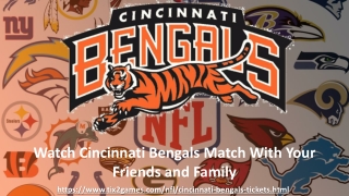 Discount Cincinnati Bengals Tickets